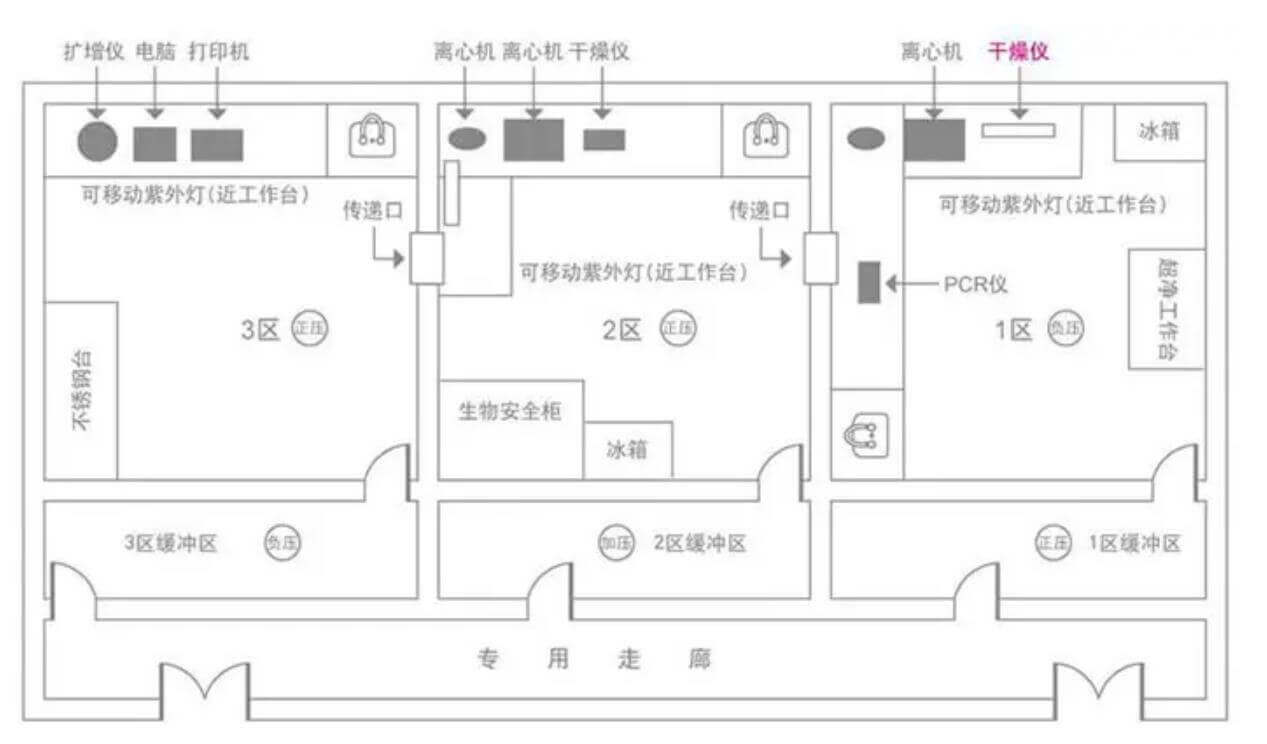 PCR實(shí)驗(yàn)室效果圖